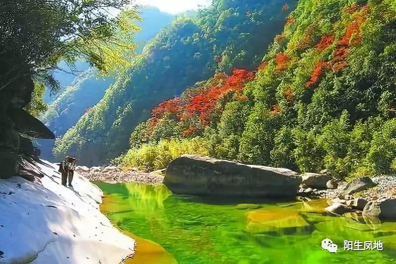 青春痘是什么原因引起的？-最全面的交流社区